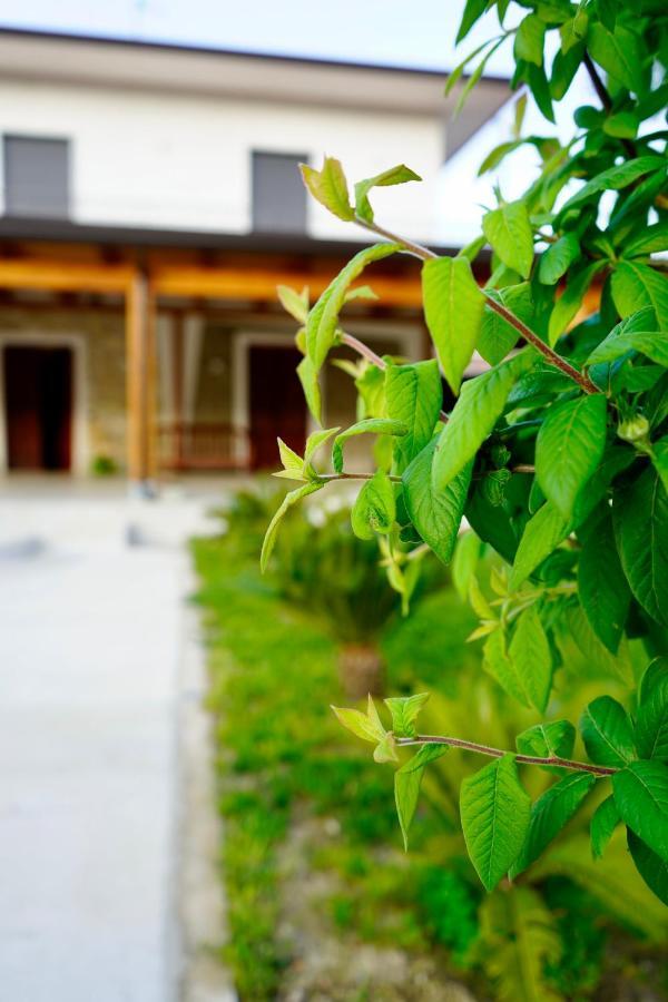 Atomos Bed & Breakfast Alvignano Bagian luar foto